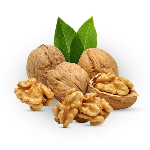 আখরোট
